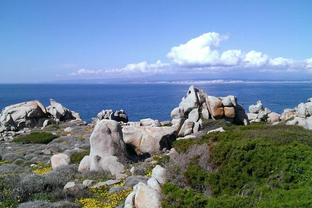 סנטה טרזה גאיורה Una Splendida Terrazza Sul Mare מראה חיצוני תמונה